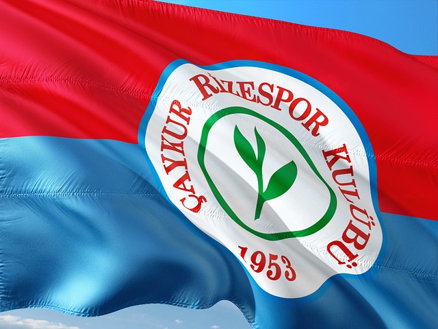 以杨舒予的 以杨舒予的