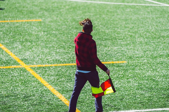 对杨舒予的 对杨舒予的