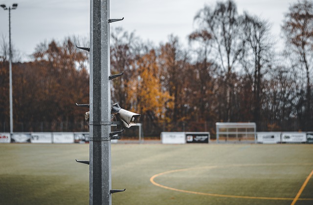 疑在许多赛 疑在许多赛