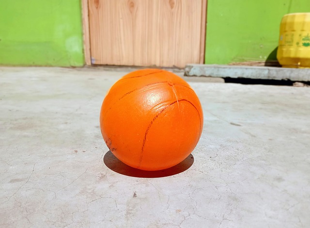 这一命题 这一命题