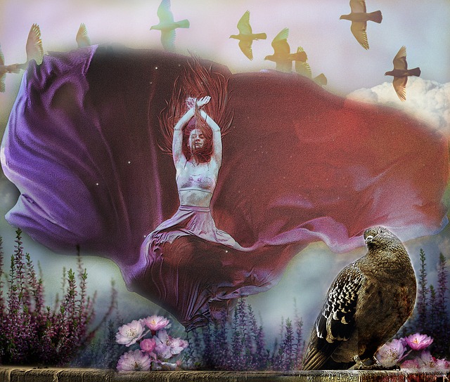 多库更新社 多库更新社